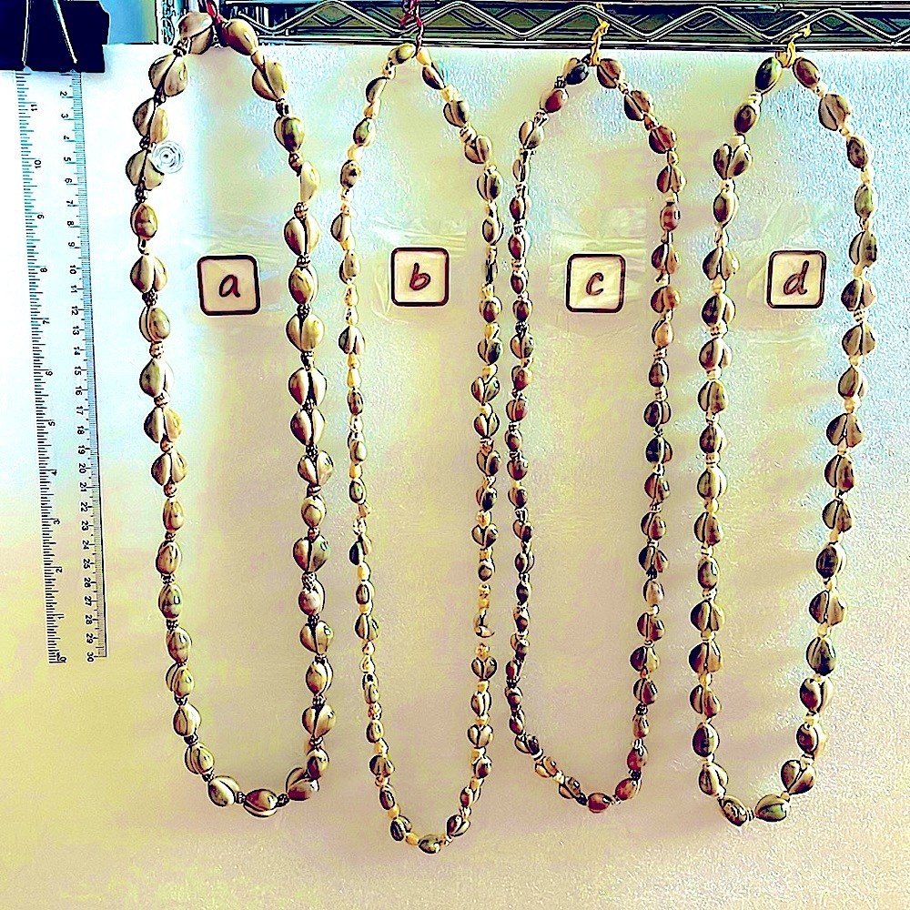 Cowrie Shell/SeaSnail Shell Mix Necklace Market